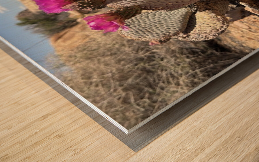 Cactus Bloom Wood print