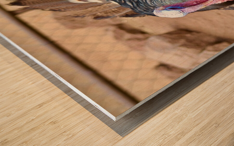 Wild Turkey Wood print