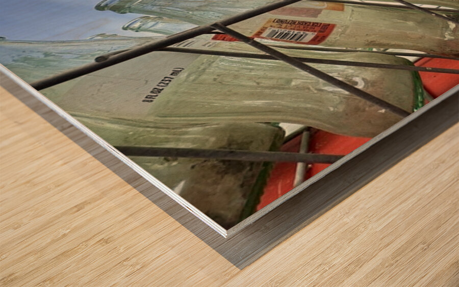 Desert Coke Bottles Wood print