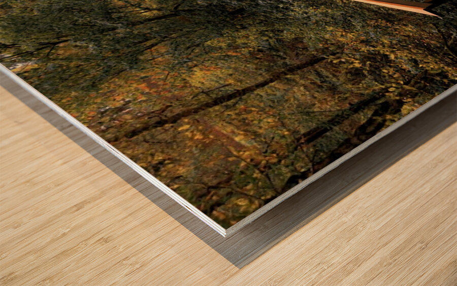 The path less traveled -vertical Wood print