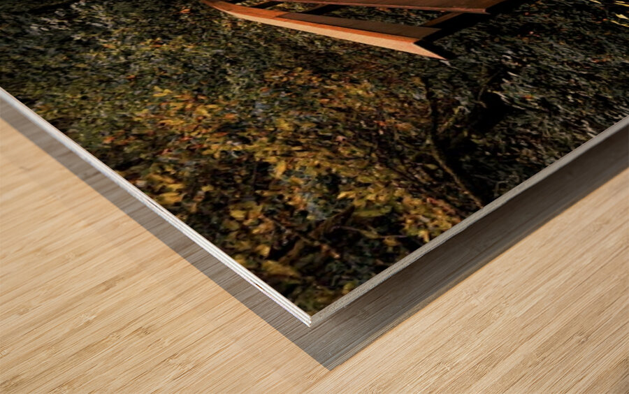 The path less traveled Wood print