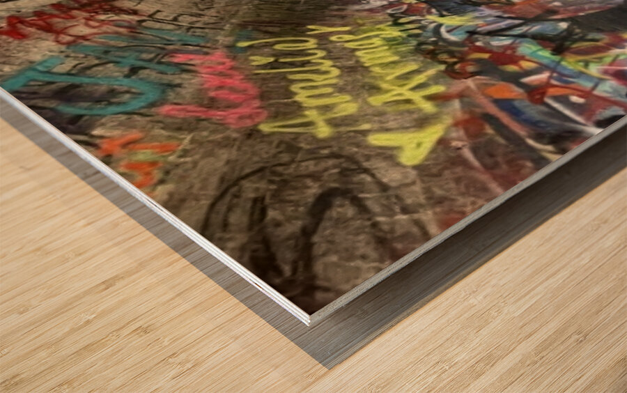 Baird Springs Tunnel -horizontal Wood print