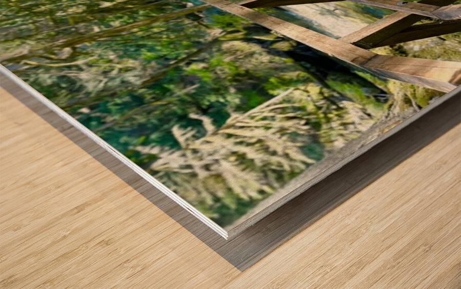Bend in the Forest Wood print