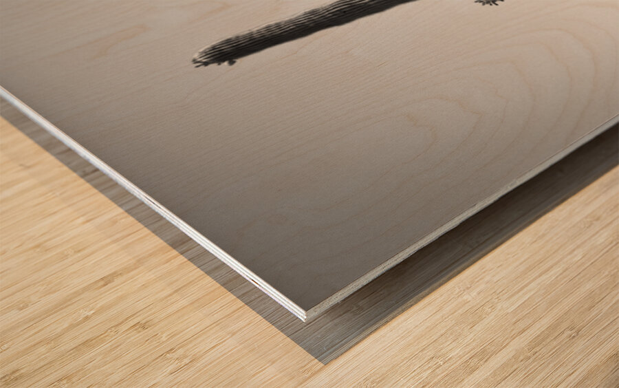 Saguaro Dream in black and white -1 Wood print