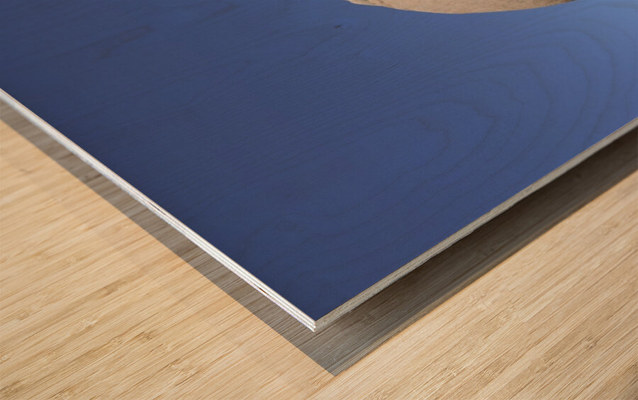 Skull Rock Joshua Tree National Park Wood print