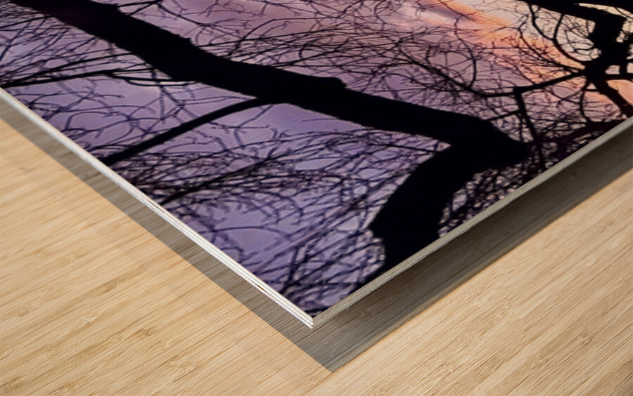 Purple and Orange Wood print