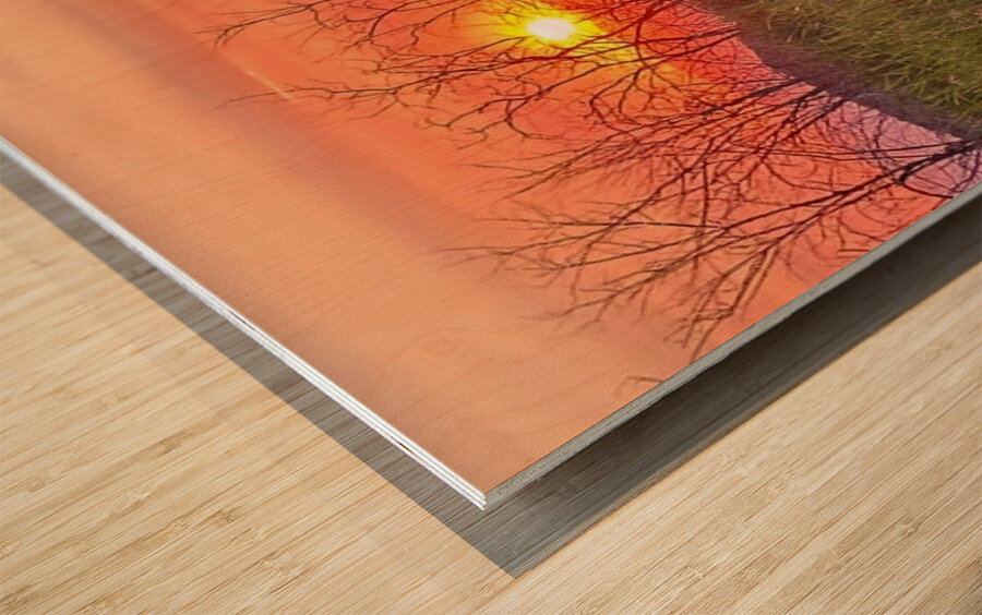 Sunset on Silica Road Wood print