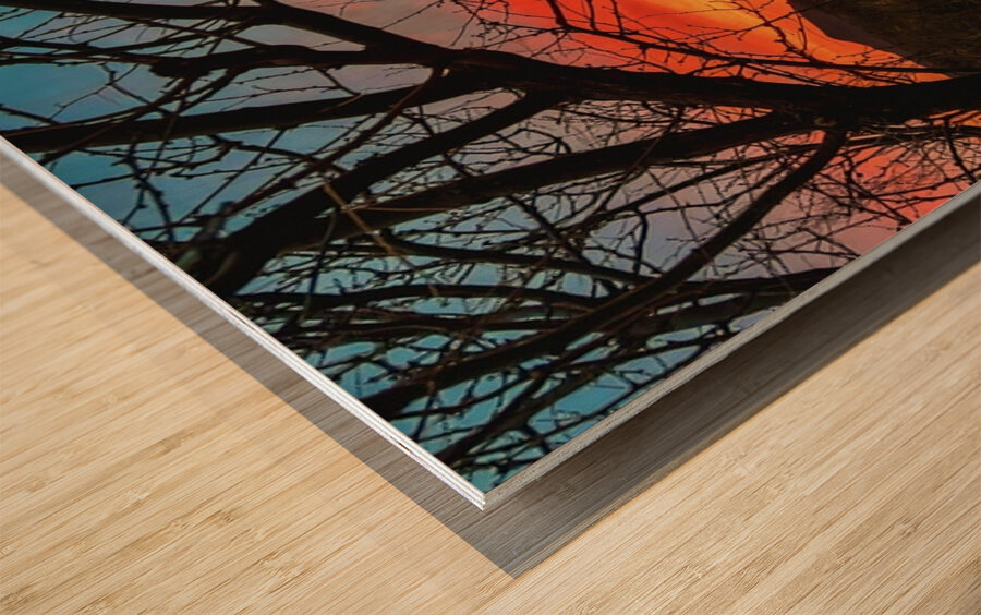 Colors of the Desert Wood print