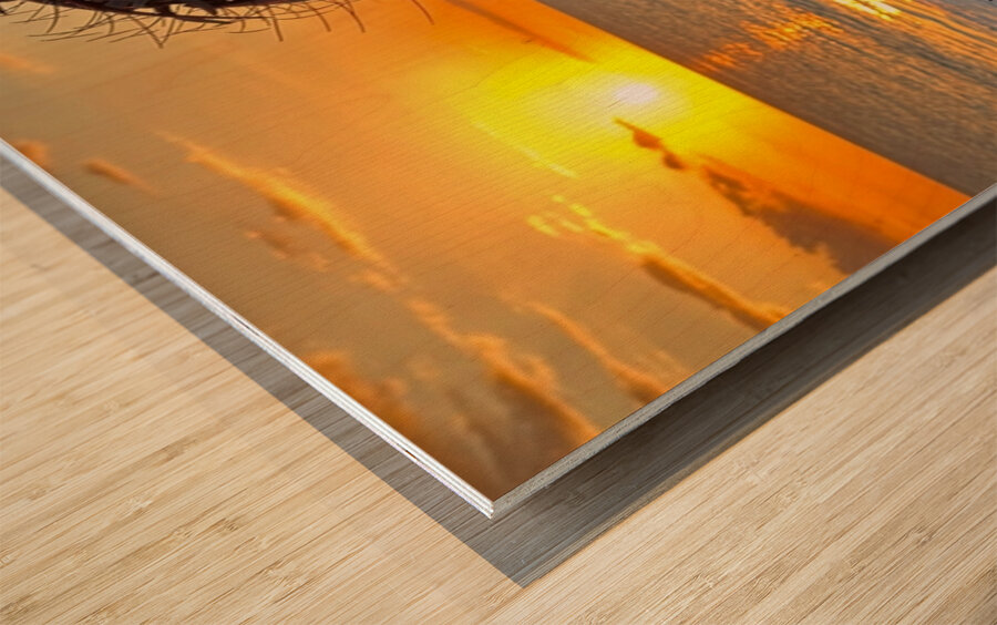 Beauty of Maui Wood print