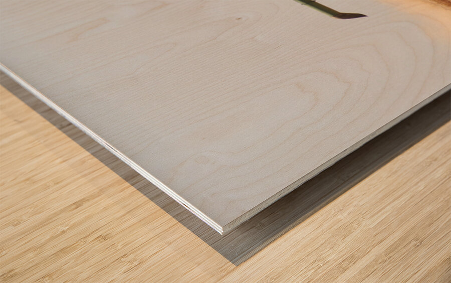 Wheat Harvest Wood print