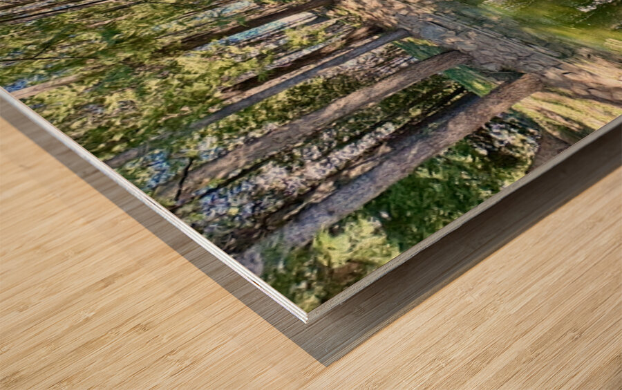 Ohme Gardens reflection pond Wenatchee Wa Wood print