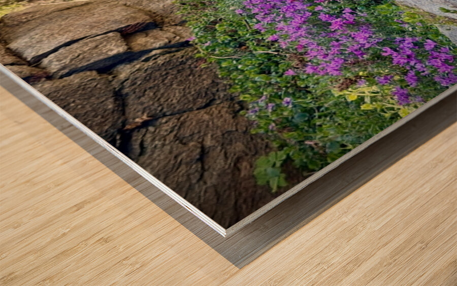 Spring flowers in Ohme Gardens Wood print