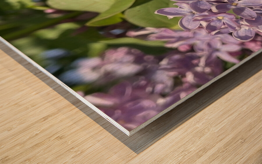 Saving the World Wood print