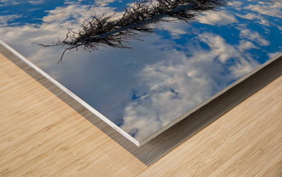 Forest of the dead Wood print