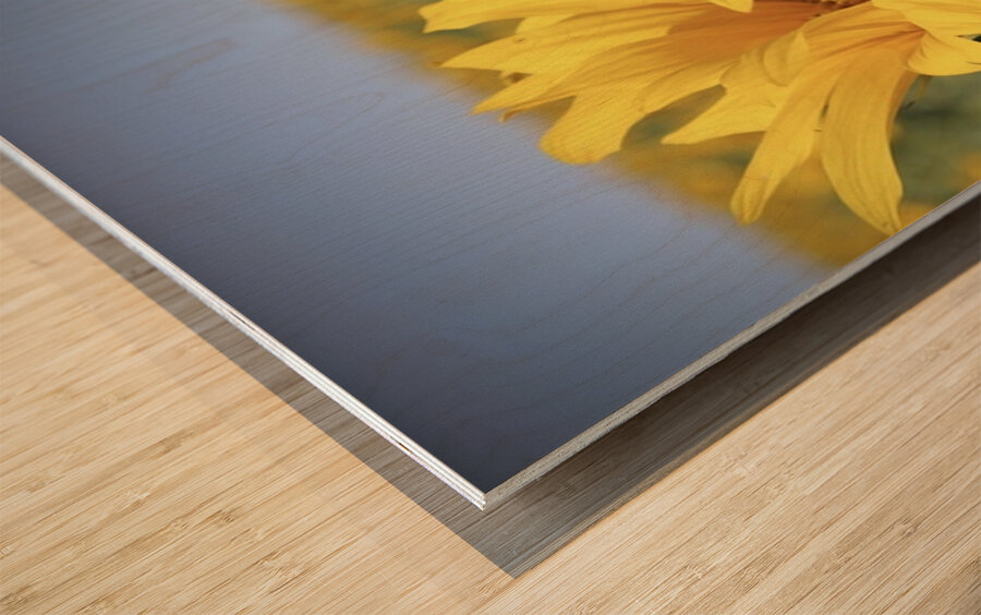 This is my best side Wood print