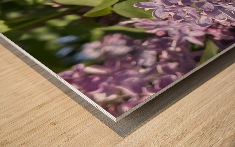 Bee-live  Wood print