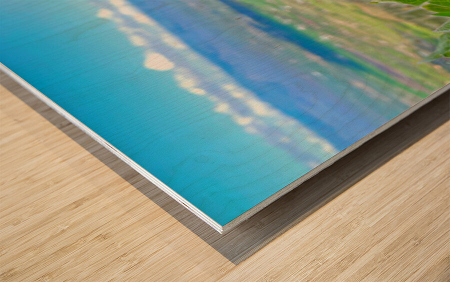 Balsam Root featuring the Kittitas Valley backround Wood print