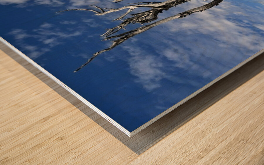 Tree overlooking Wenatchee Wood print