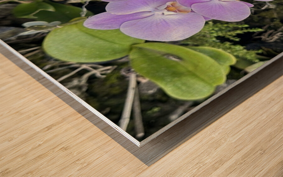Orchid Wood print