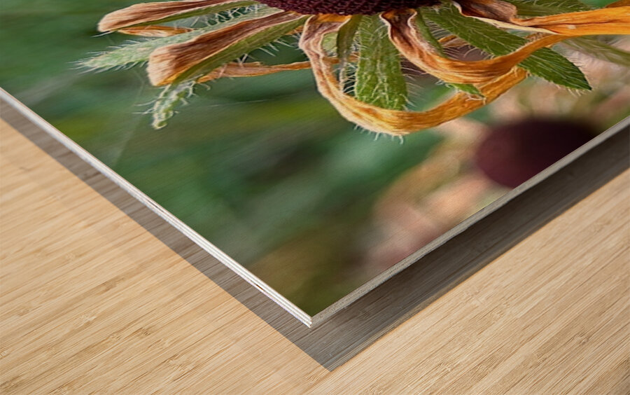 Time Served Wood print