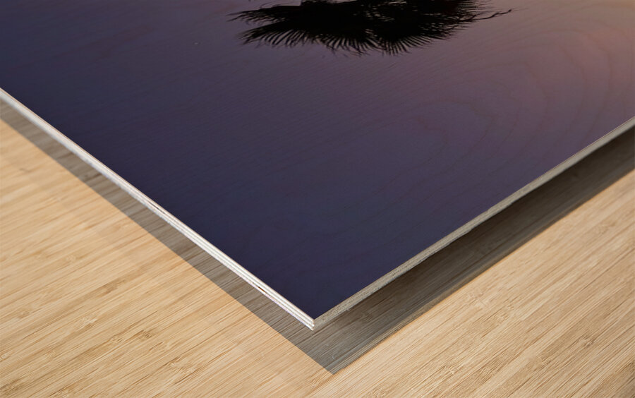 Afterglow Palm Wood print