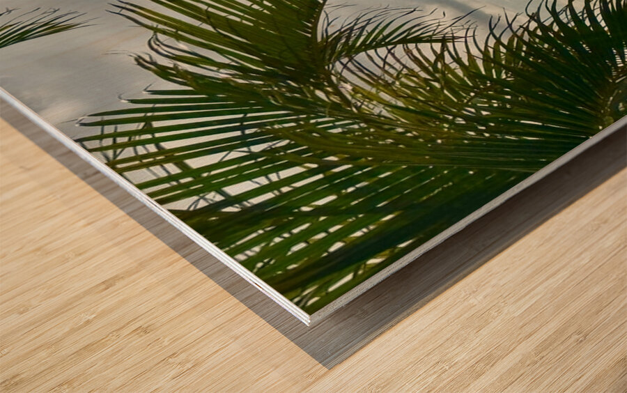 Oahu through the Palms Wood print