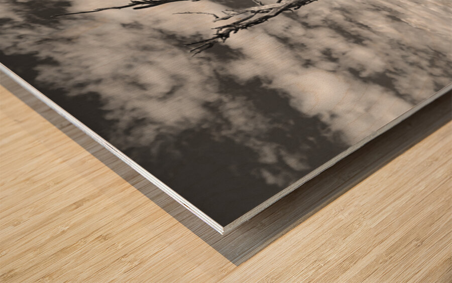 Wenatchee Overlook - black and white Wood print