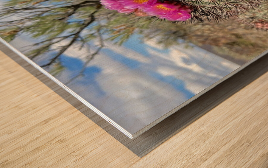 Barrel Cactus Wood print