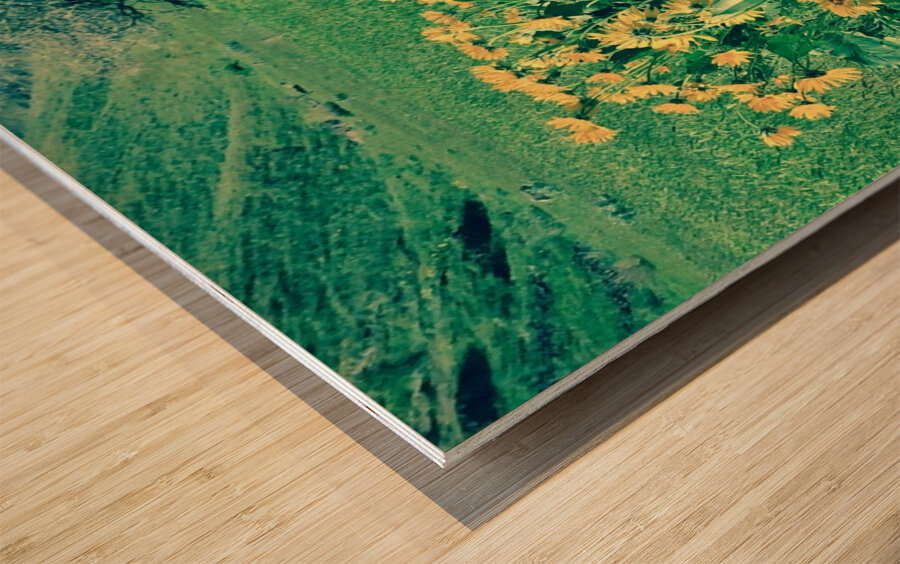 Balsam Root Wood print