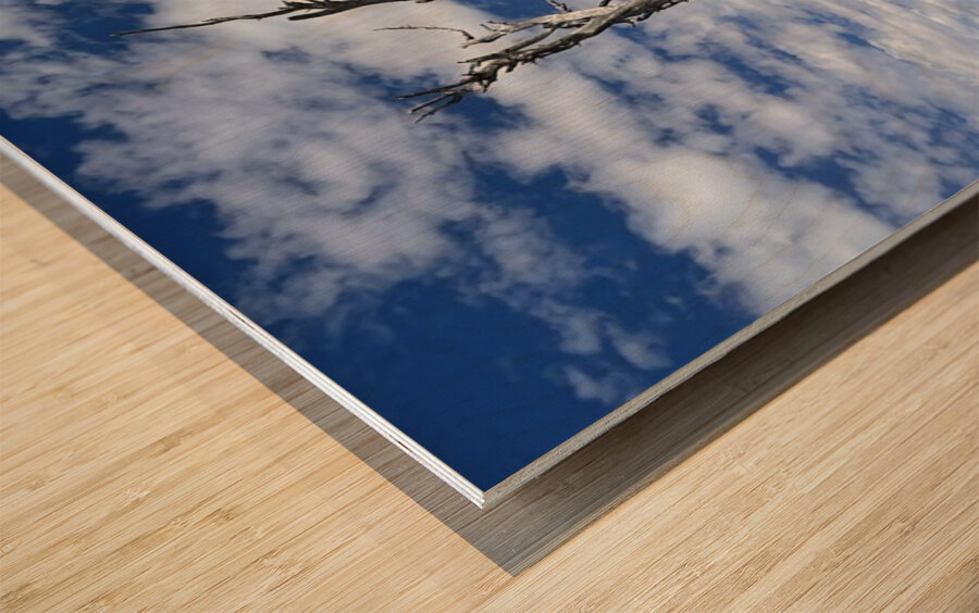 Wentachee Overlook - color Wood print