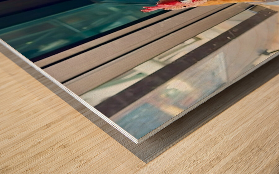 Hello can I help you  Wood print