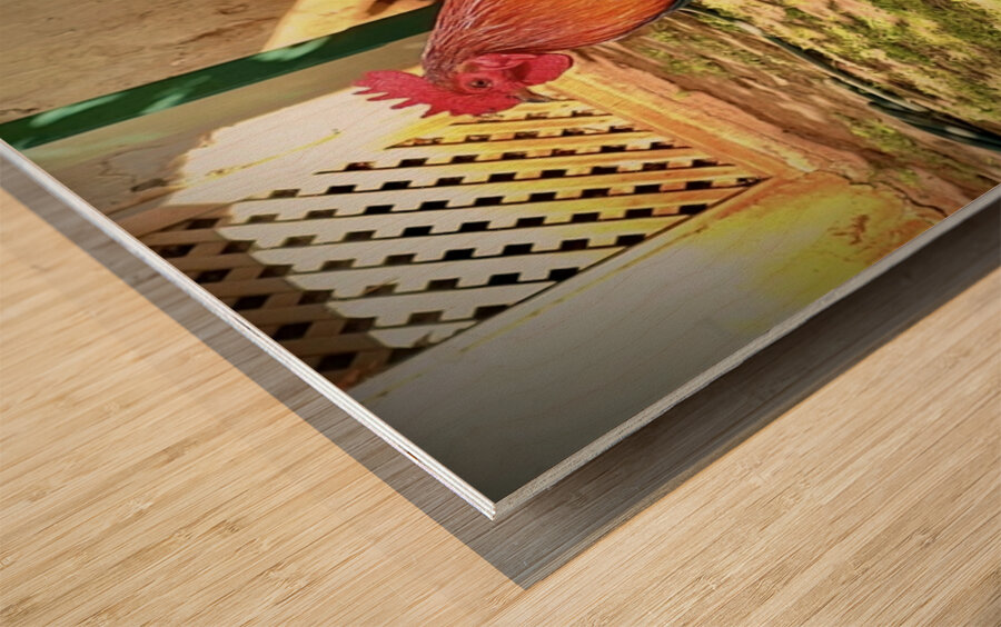 Maui Rooster Wood print