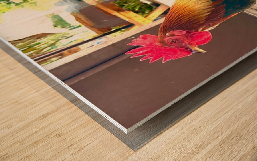 IMG 1103 Copy Wood print