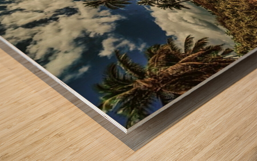 IMG 1053 jpg Wood print