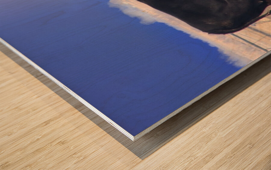 Calving Season Wood print