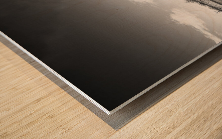 411087A6 03AC 472D AE87 55E0490A2BD9 Wood print