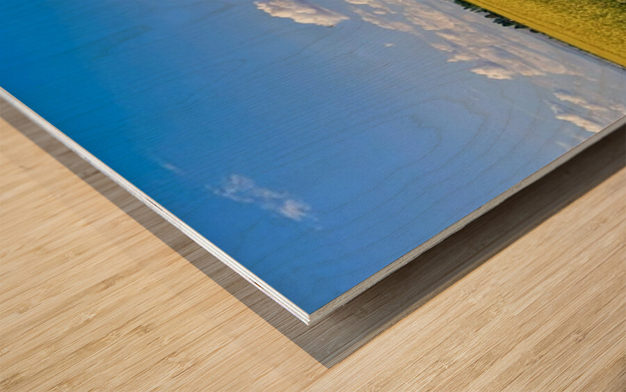 Country Road Wood print