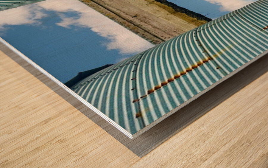 The Silos at Westbar Wood print