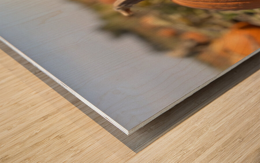 Fall Vibes Wood print