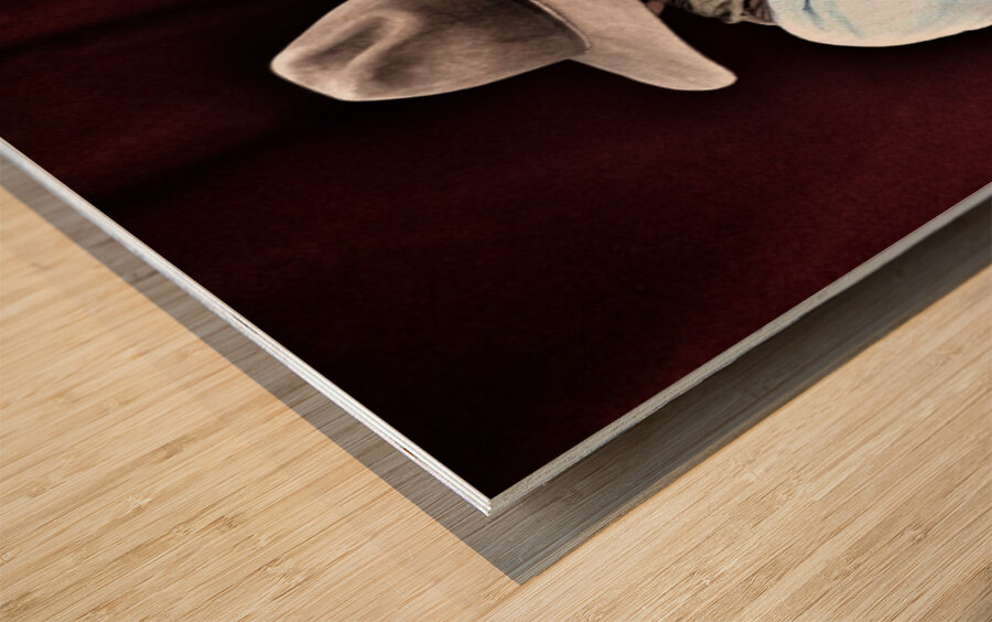 I’m your huckleberry Wood print