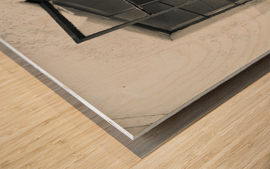 Whispers in the Dust Wood print