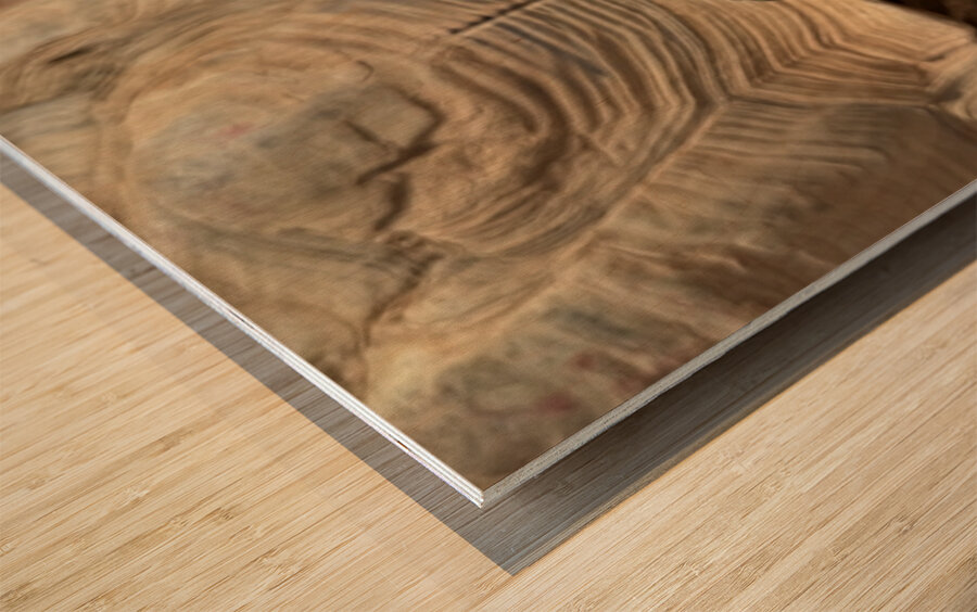 Happy Tortoise Wood print