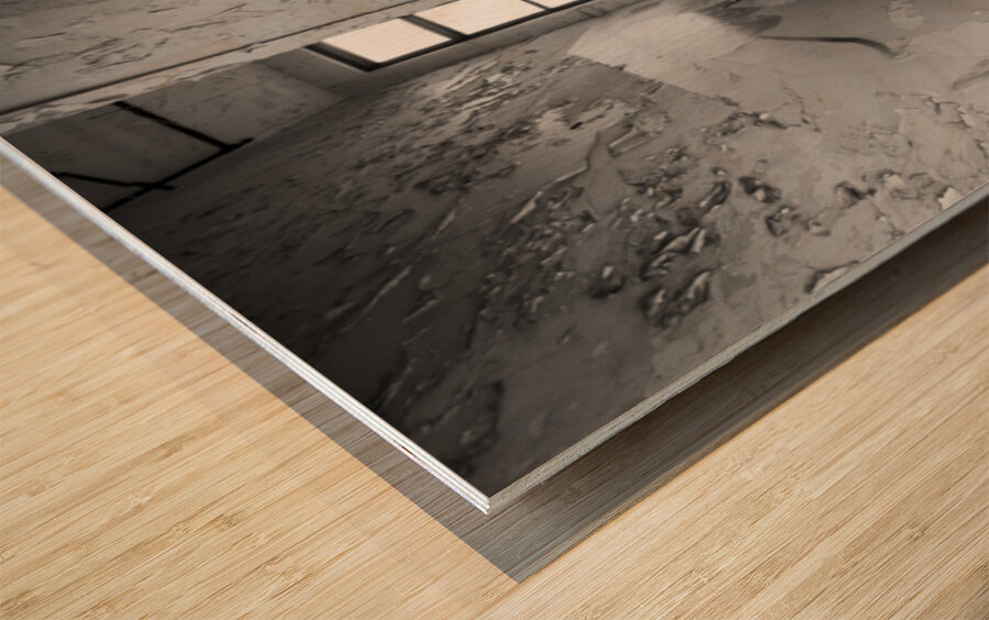 St Ignatius Hospital  Wood print