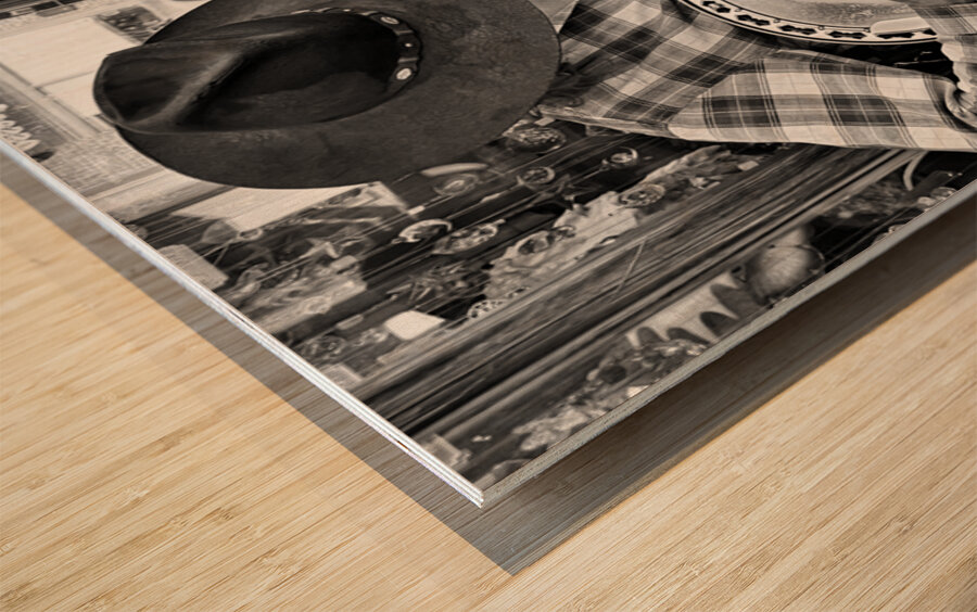 The Entertainer- Moab Utah Wood print