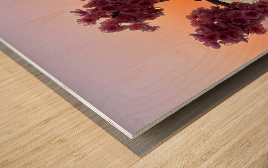 Rosarito Sunset - Rosarito Baja Mexico Wood print