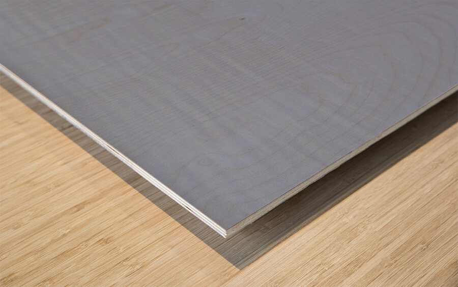 Reflection in Flight Wood print