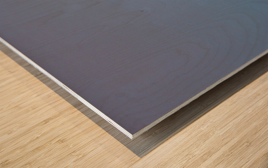 Baja Brown Pelicans- 3 Wood print