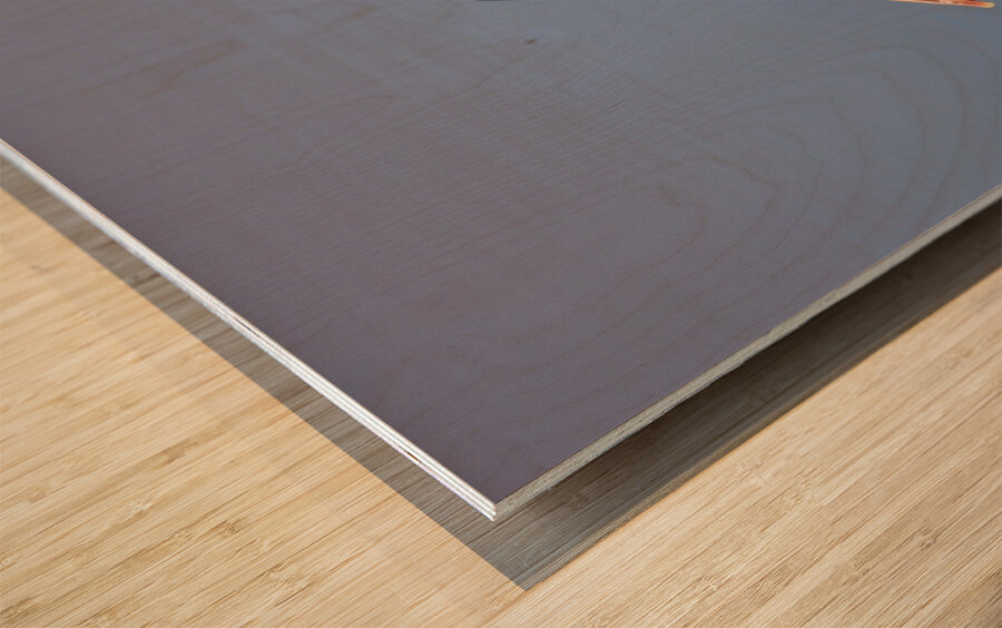 Baja Brown Pelicans -1 Wood print