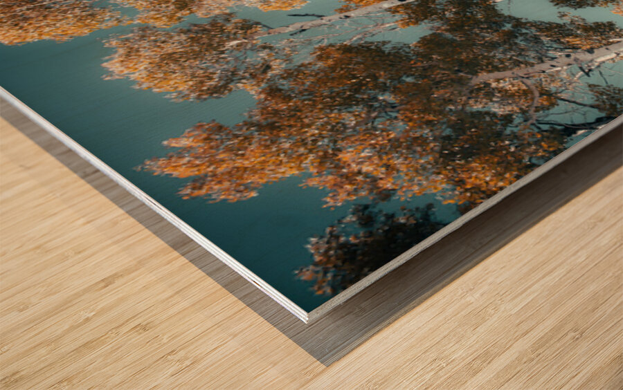 Blue skies and Aspen leaves Wood print