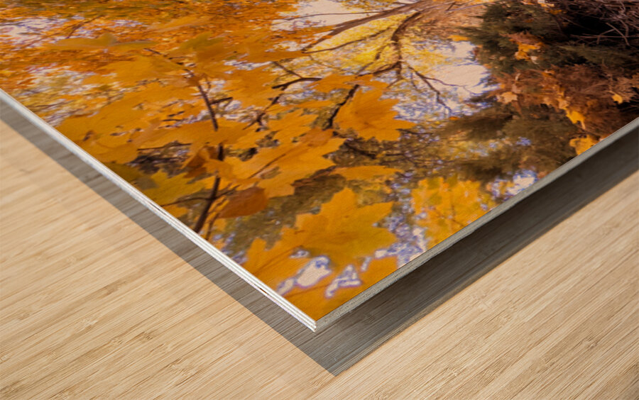 Autumn’s quiet retreat Wood print